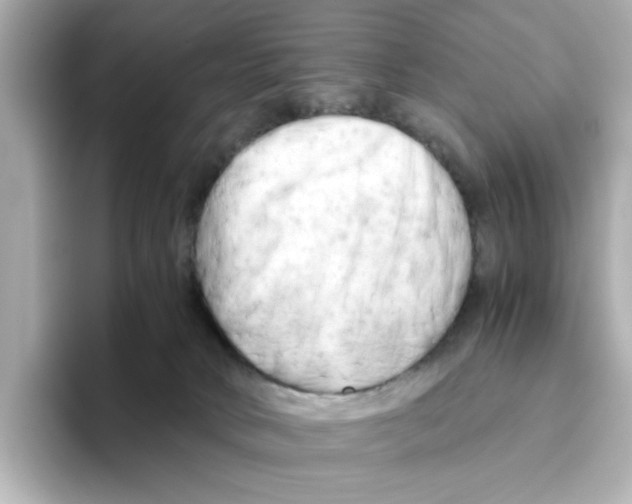 X0000095690034200802051322