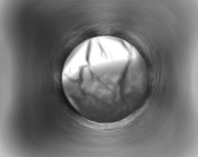 X0000095690035200802051322