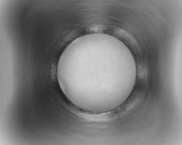 X0000095690036200802051322