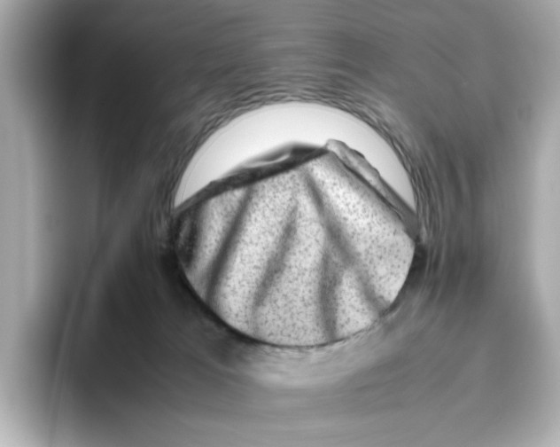 X0000095690037200802051322