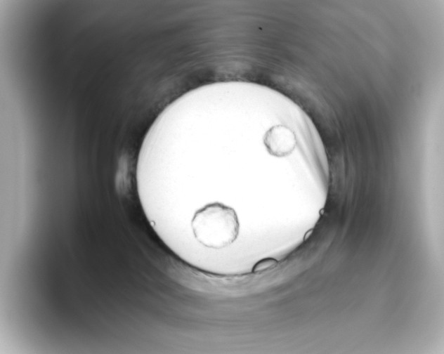 X0000095690038200802051322