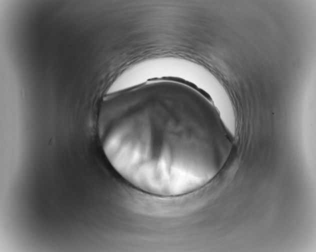 X0000095690039200802051322