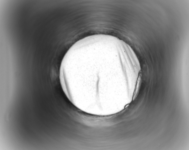X0000095690040200802051322