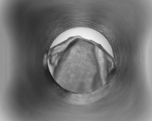X0000095690041200802051322