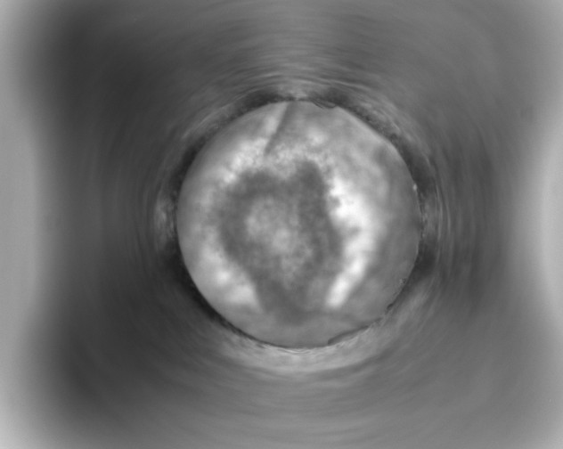 X0000095690043200802051322