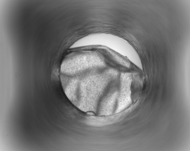 X0000095690045200802051322