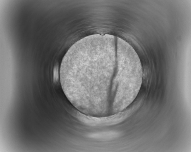X0000095690046200802051322