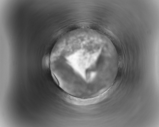 X0000095690047200802051322