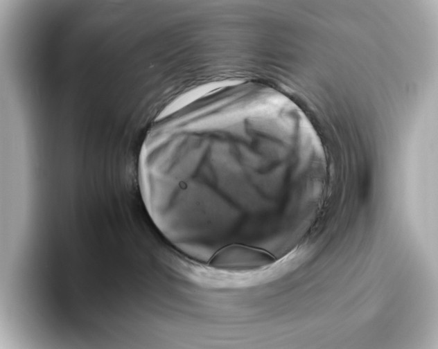 X0000095690048200802051322