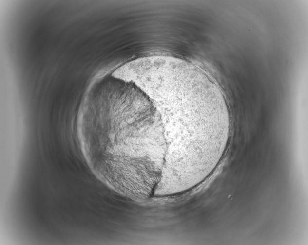 X0000095690049200802051321