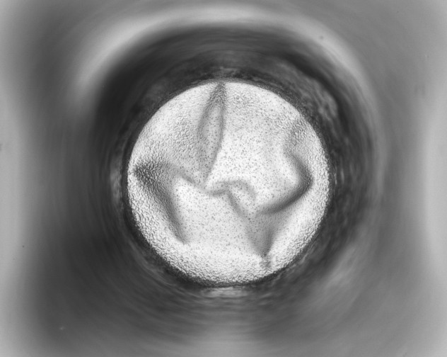 X0000095690050200802051321