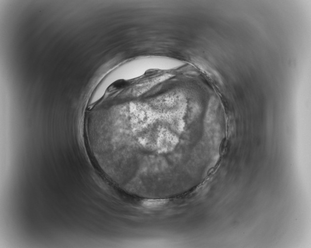 X0000095690051200802051321
