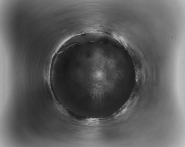 X0000095690052200802051321
