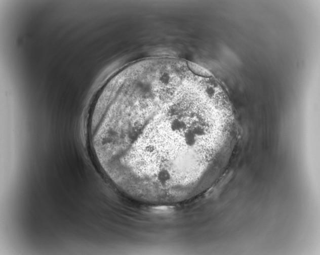 X0000095690053200802051321