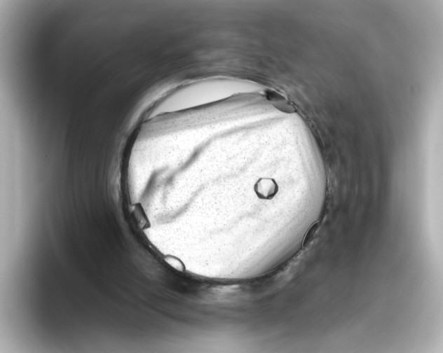 X0000095690054200802051321