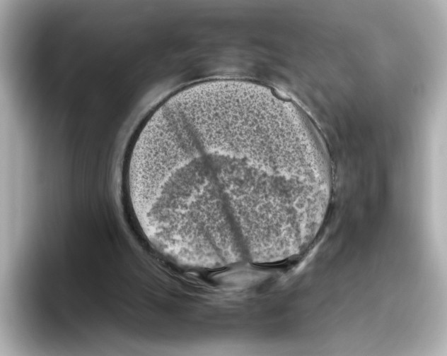 X0000095690055200802051321