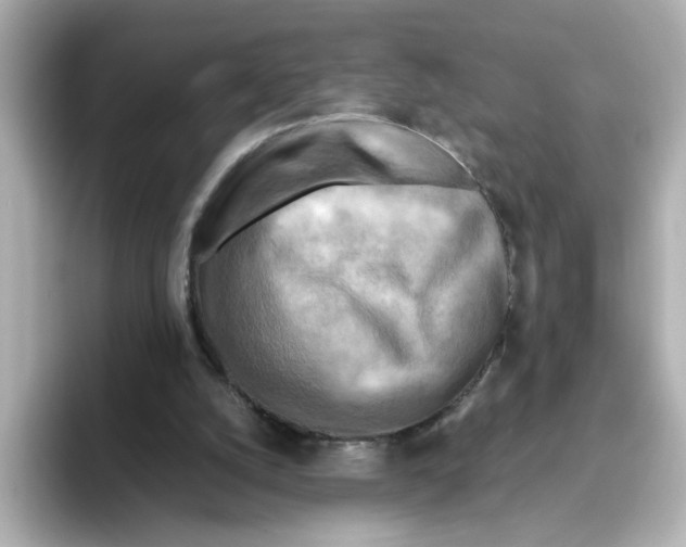 X0000095690056200802051321