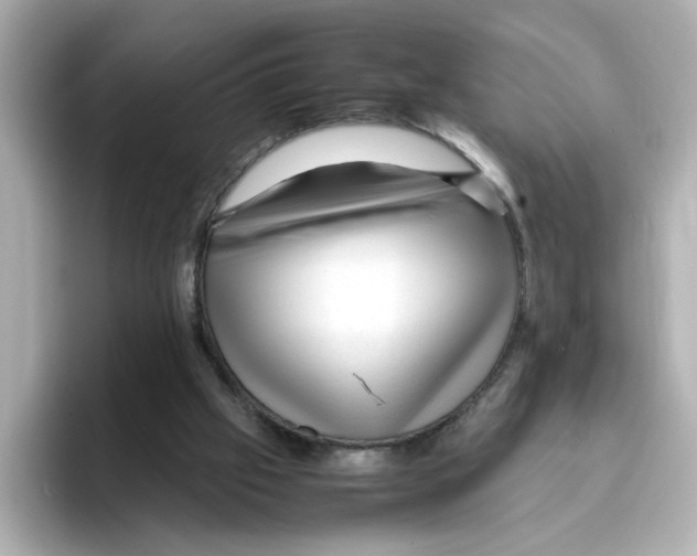 X0000095690057200802051321