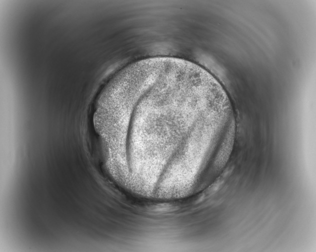 X0000095690058200802051321
