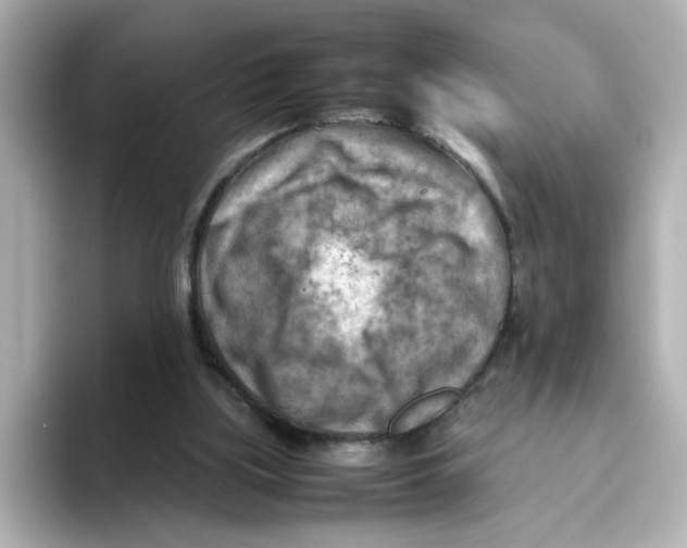 X0000095690059200802051321