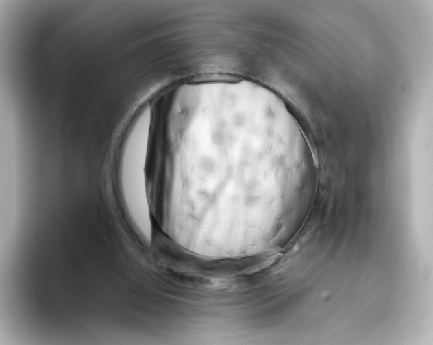 X0000095690060200802051321