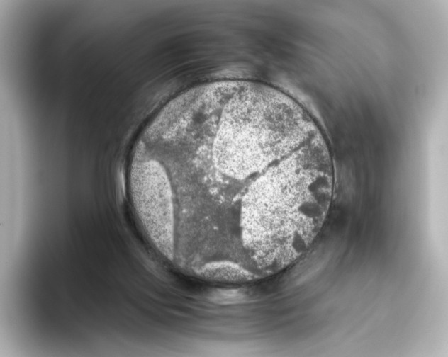 X0000095690061200802051321
