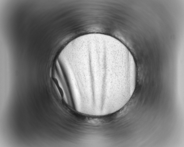 X0000095690062200802051321