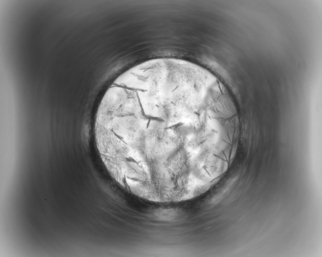 X0000095690063200802051321