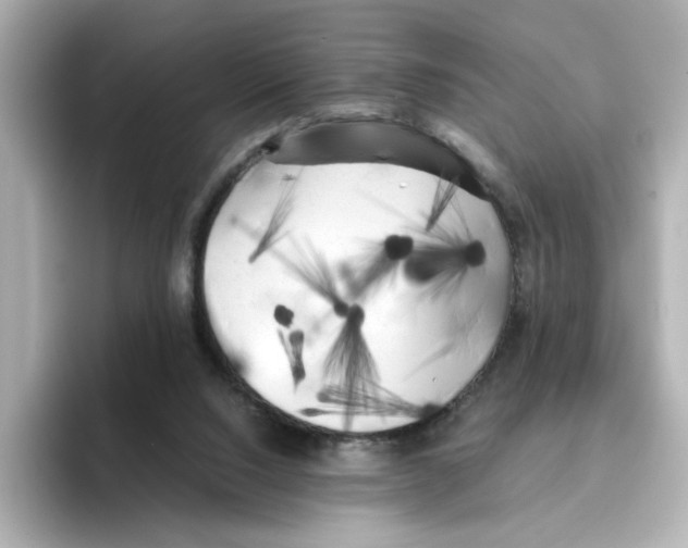 X0000095690064200802051321