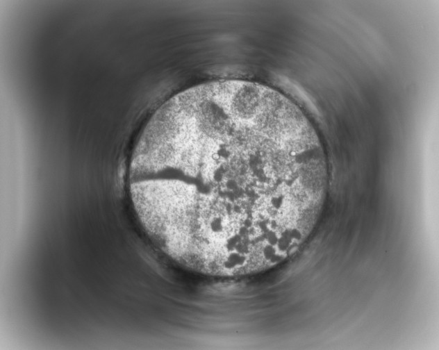 X0000095690065200802051321