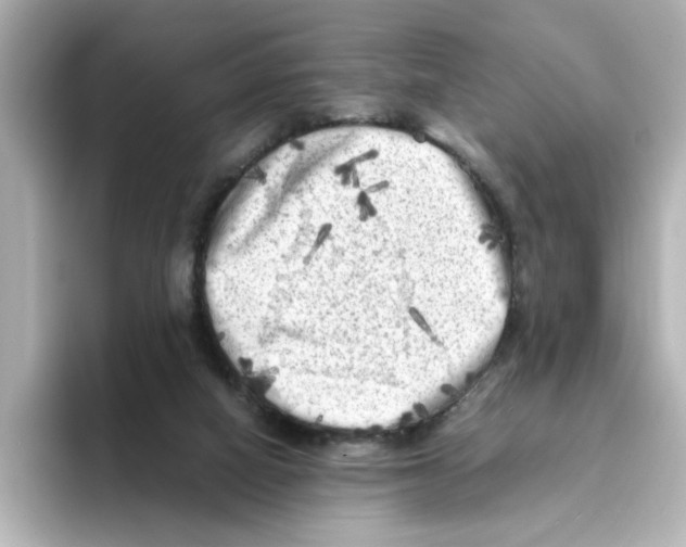 X0000095690066200802051321