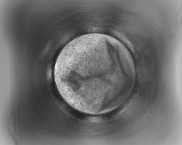 X0000095690067200802051321