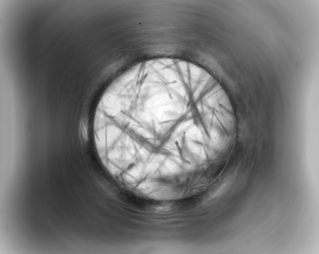 X0000095690068200802051321