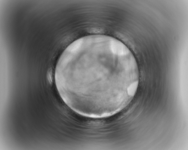 X0000095690069200802051321