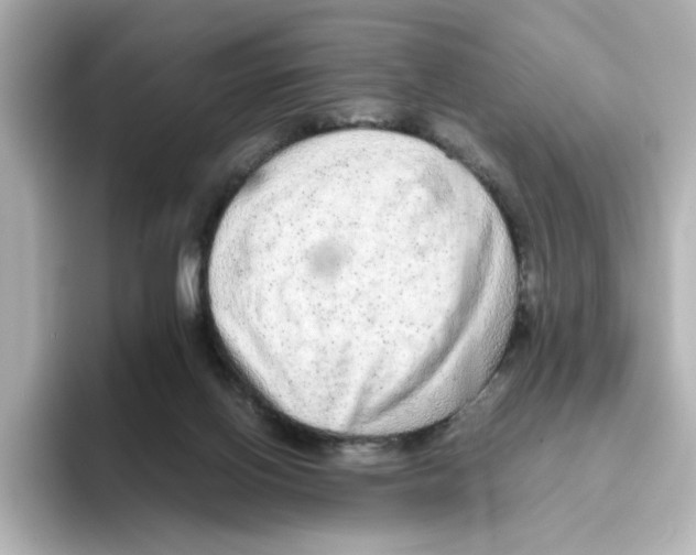 X0000095690070200802051321