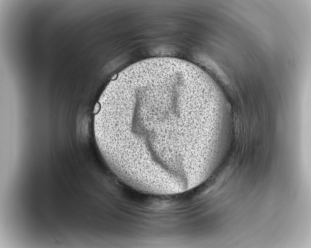 X0000095690071200802051321
