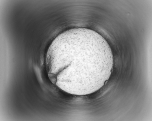 X0000095690072200802051321