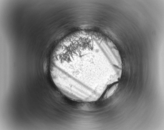 X0000095690074200802051322