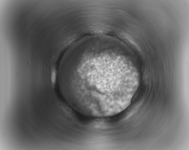 X0000095690076200802051322