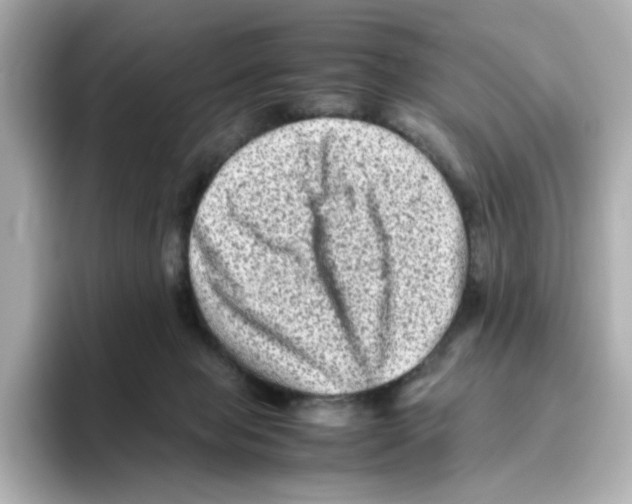 X0000095690077200802051322