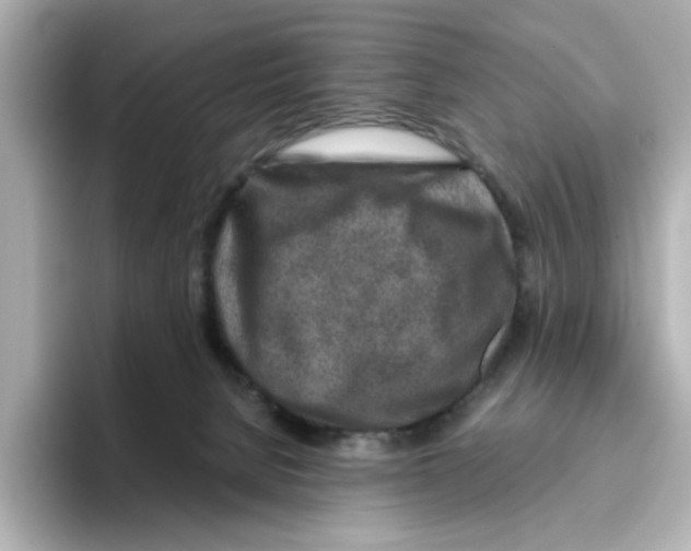 X0000095690080200802051322