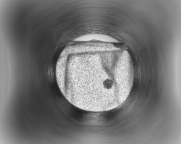 X0000095690086200802051322