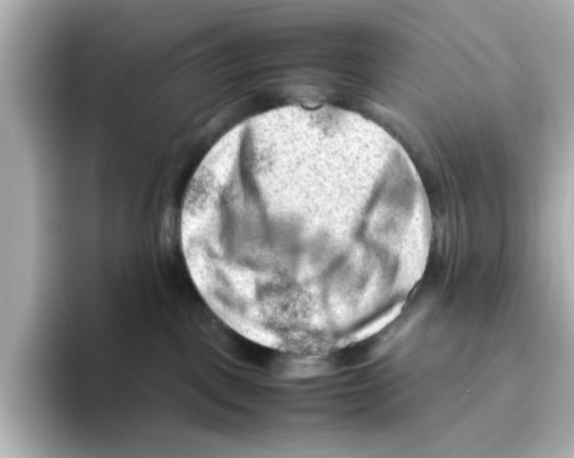 X0000095690093200802051322