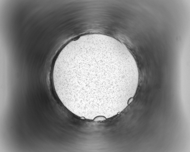 X0000095690098200802051321