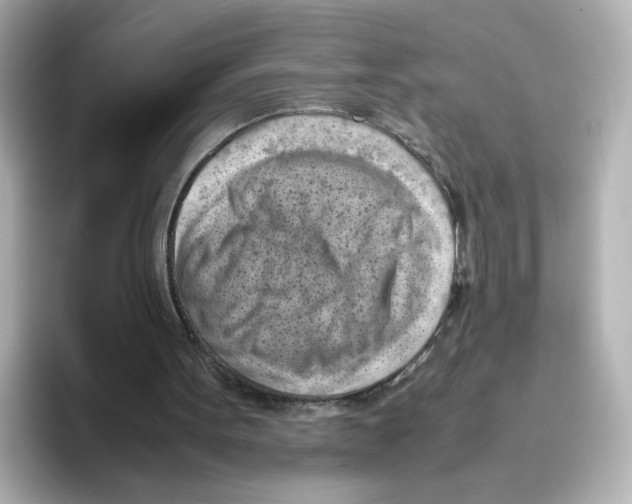 X0000095690099200802051321