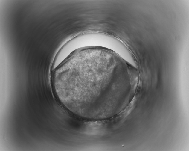 X0000095690100200802051321