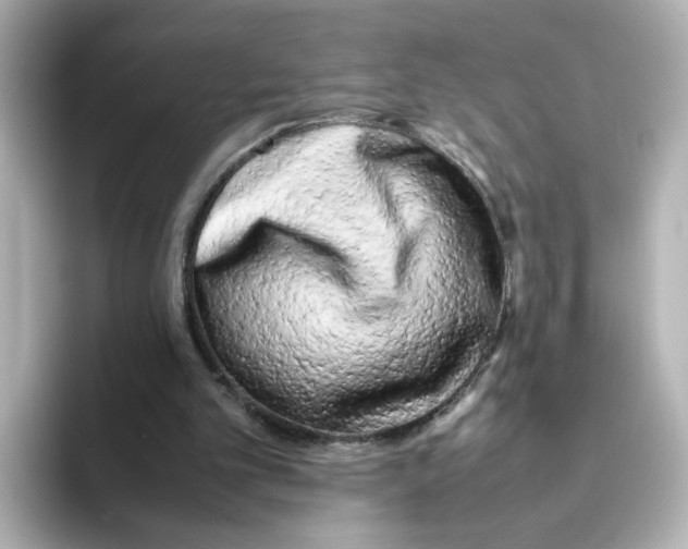 X0000095690101200802051321