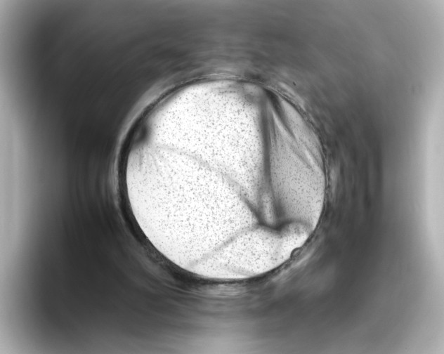 X0000095690102200802051321
