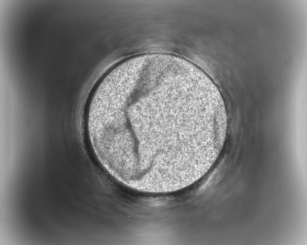 X0000095690103200802051321