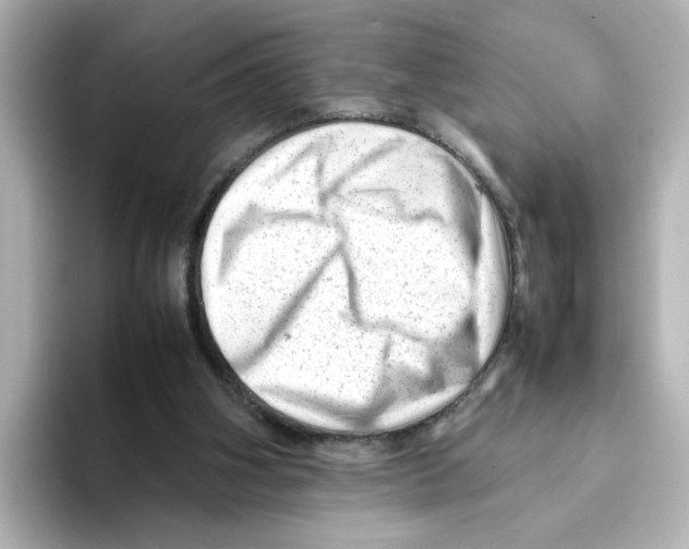 X0000095690106200802051321